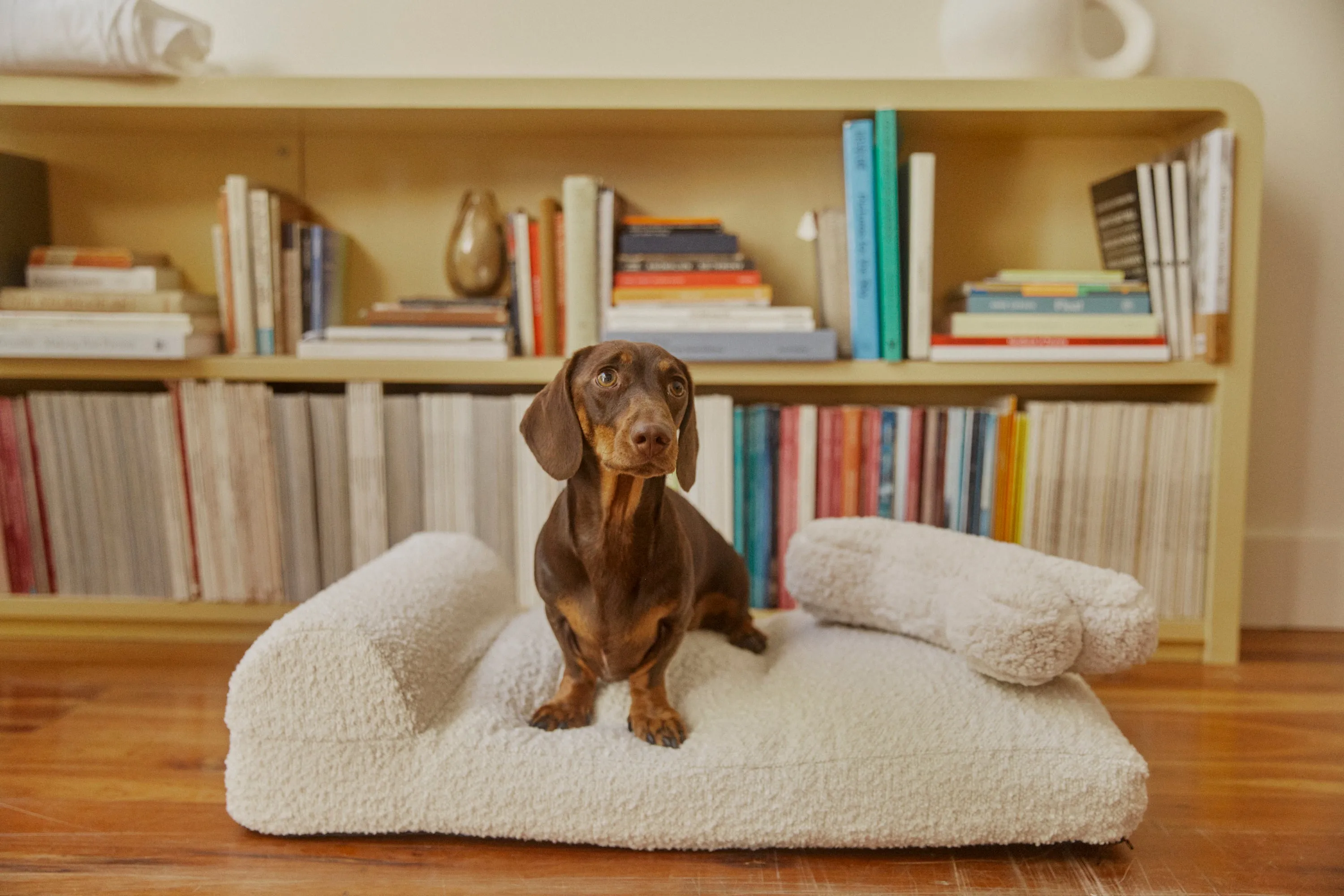Boucle Pet Bed - Milkshake