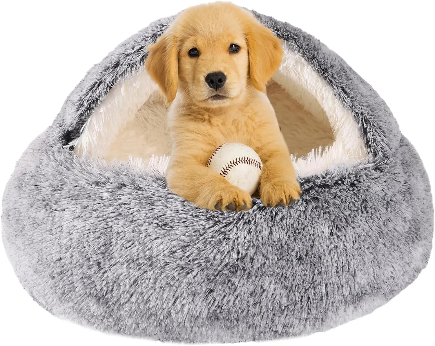 Dog Beds for Small
