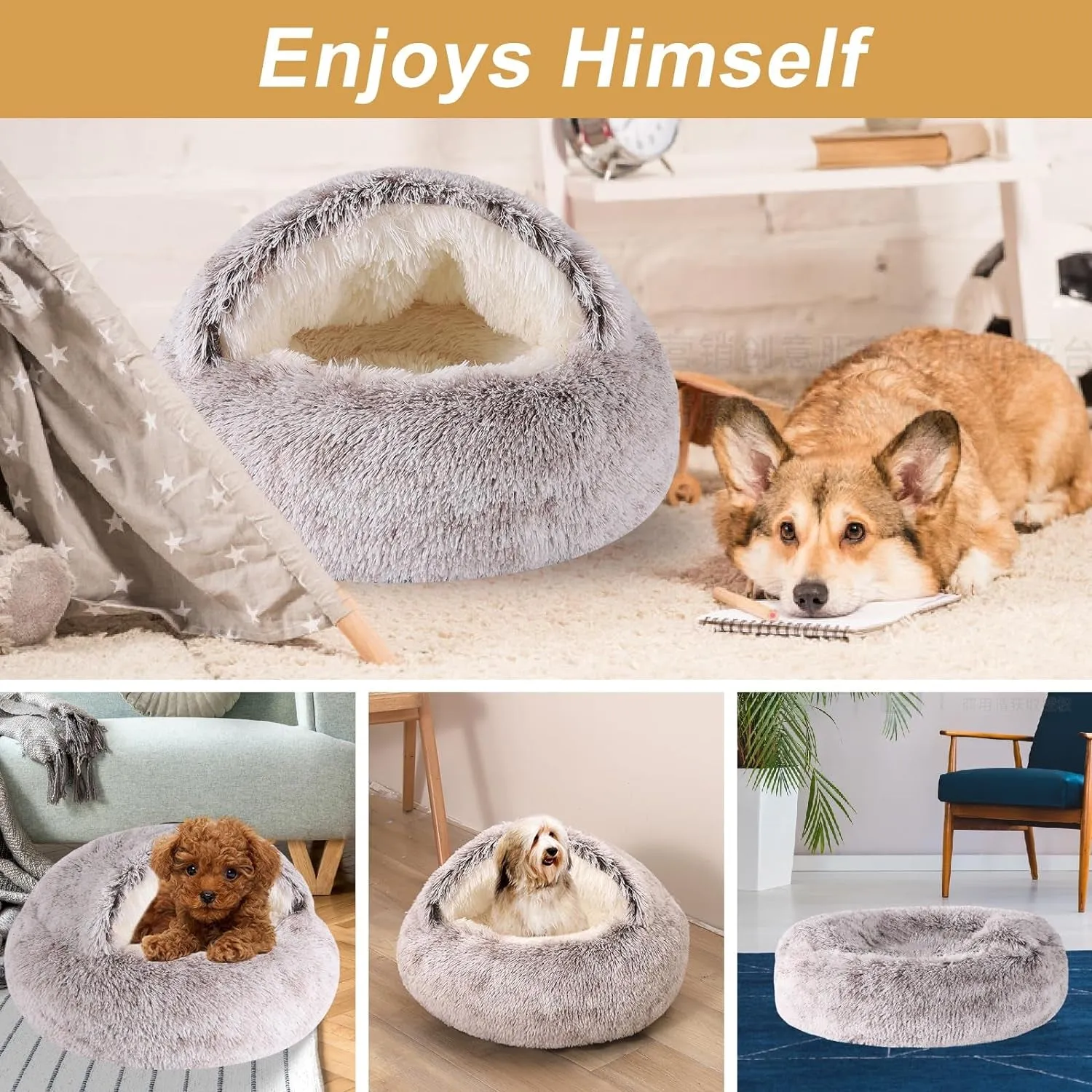 Dog Beds for Small