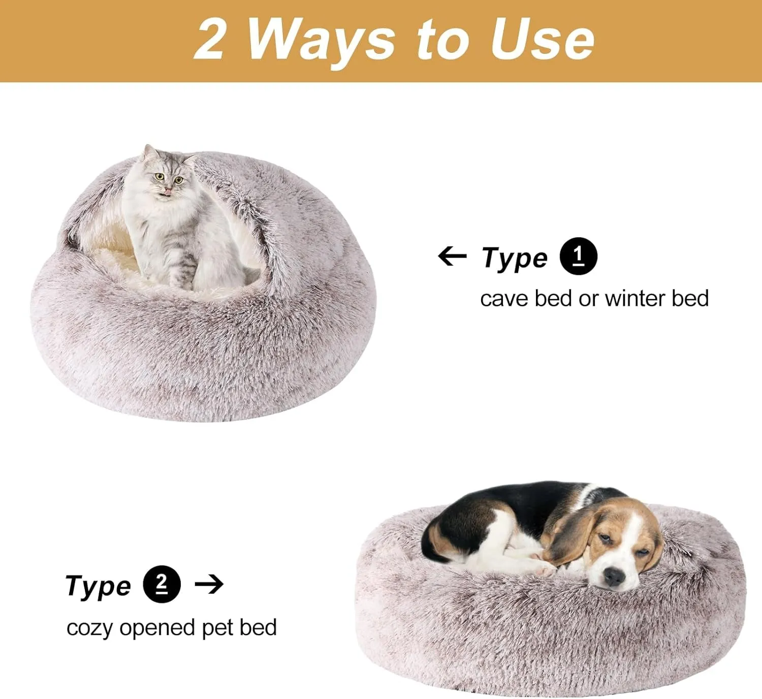 Dog Beds for Small
