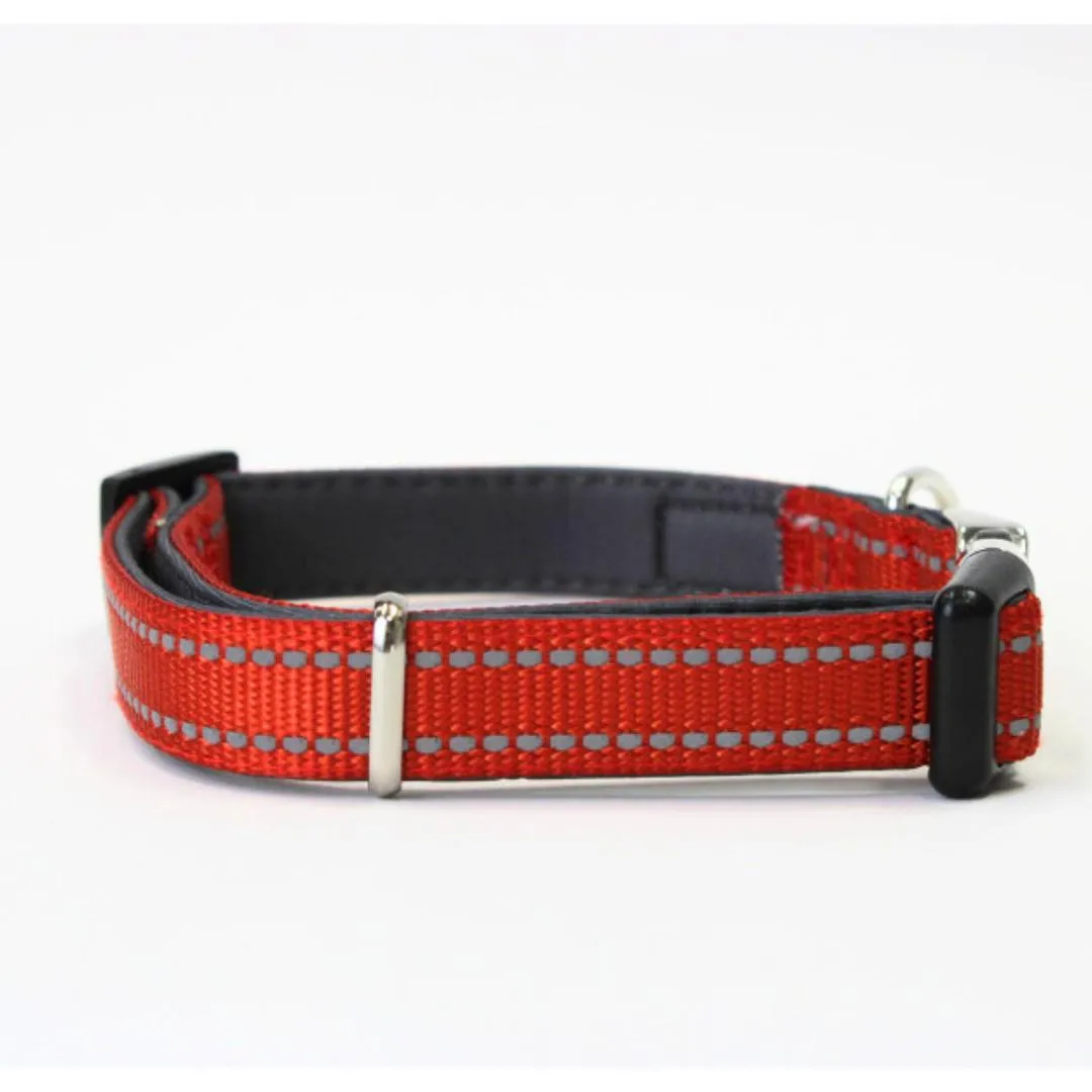Doodlebone Padded Dog Collar - Pumpkin