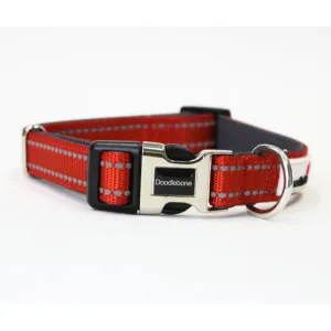 Doodlebone Padded Dog Collar - Pumpkin