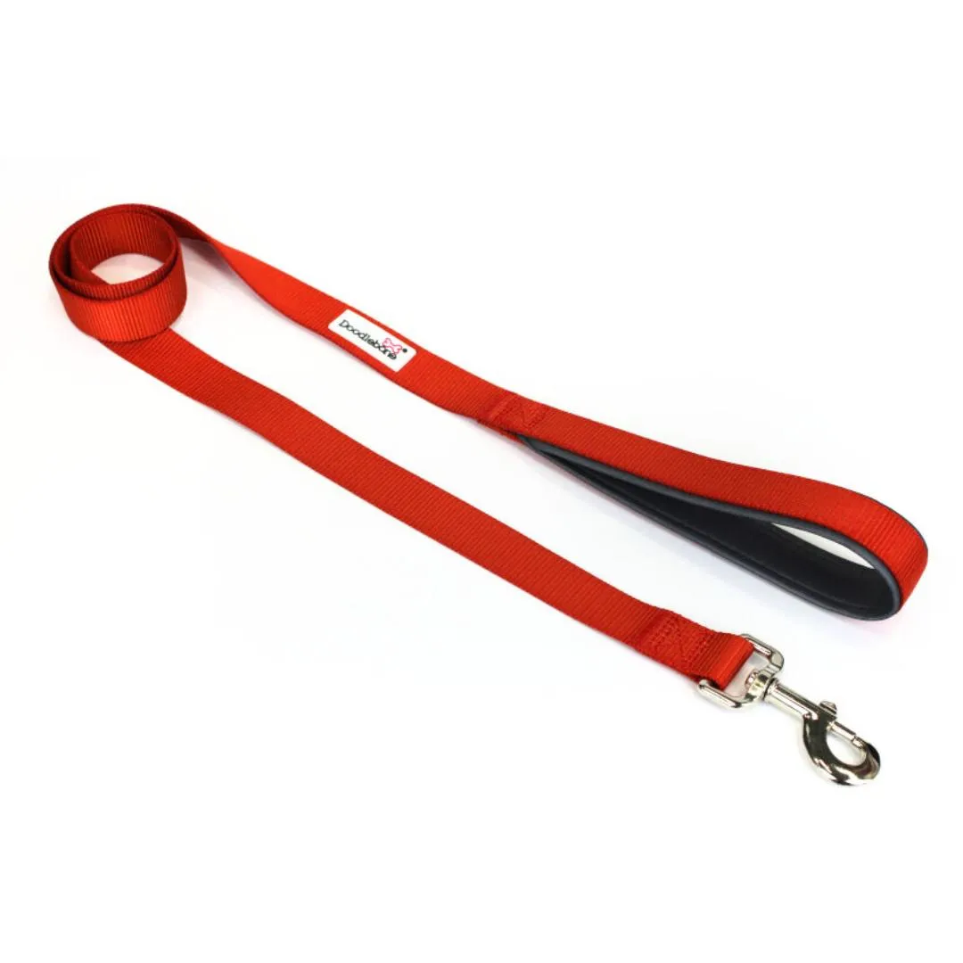Doodlebone Padded Dog Collar - Pumpkin