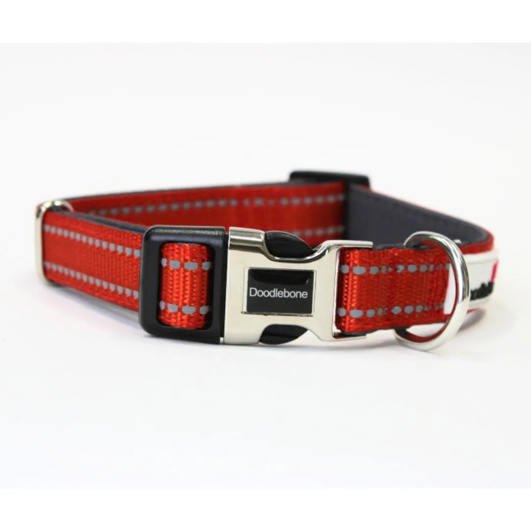 Doodlebone Padded Dog Collar - Pumpkin