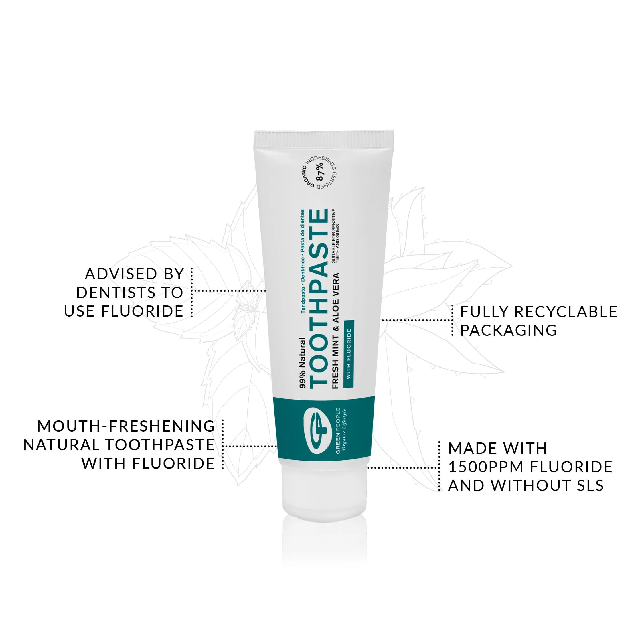 Fresh Mint Toothpaste with Fluoride 75ml