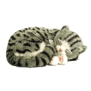 Grey Tabby Soft Bundle