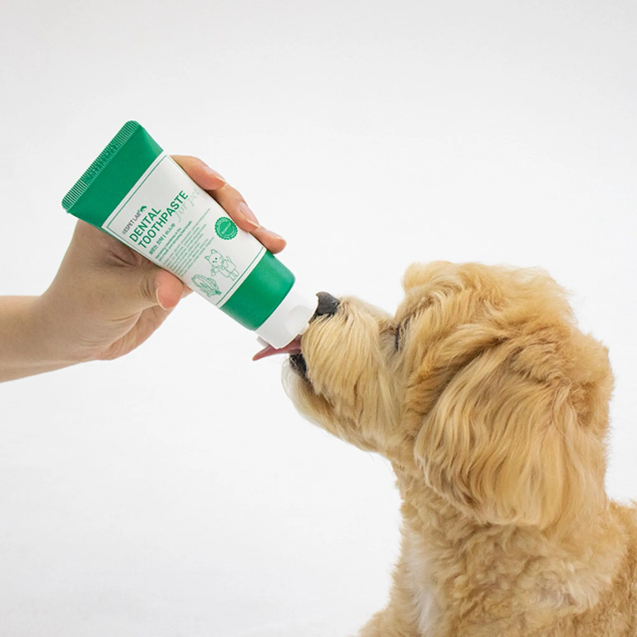Lispet Lab Pet Toothpaste - 🏆 #25 - Pet Supplies - Best of December