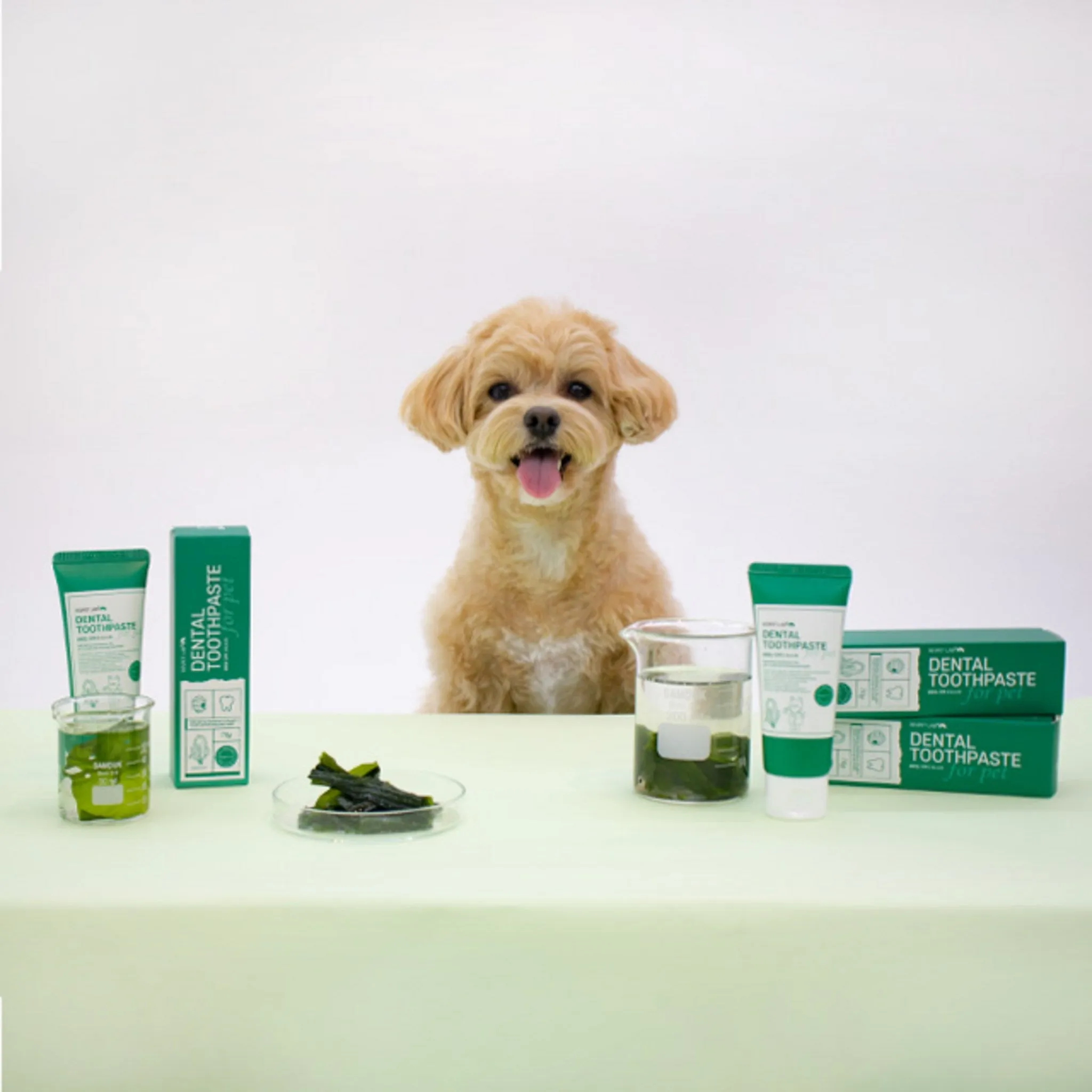 Lispet Lab Pet Toothpaste - 🏆 #25 - Pet Supplies - Best of December
