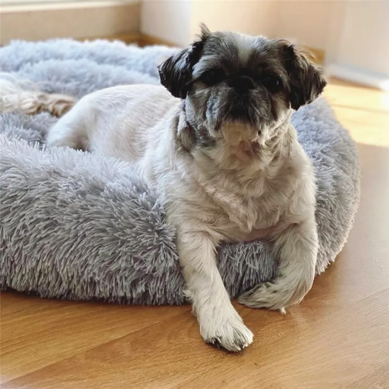 Luxurious Plush Calming Bed