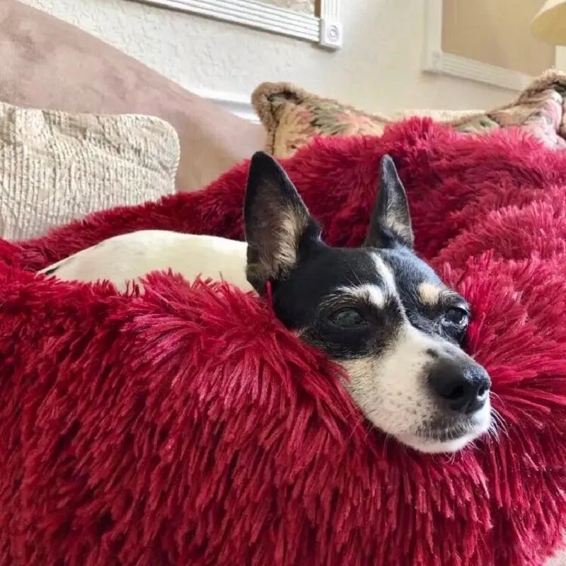 Luxurious Plush Calming Bed