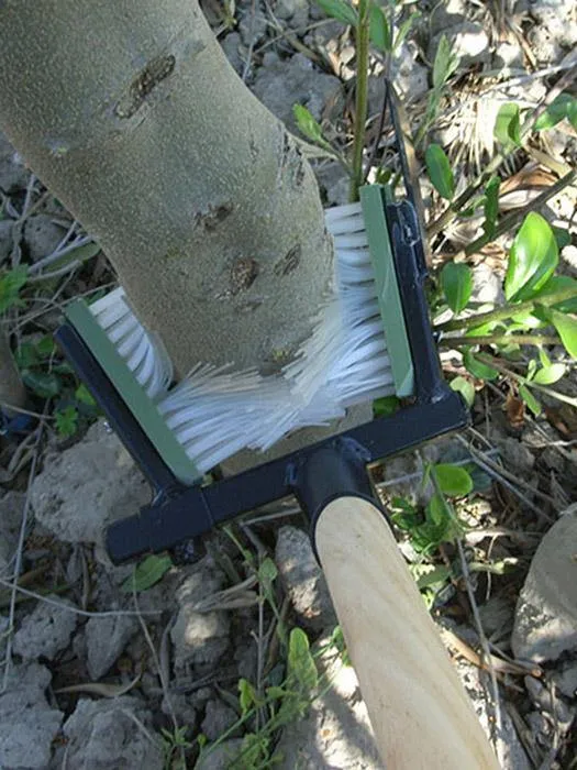 Manual Shoot Remover
