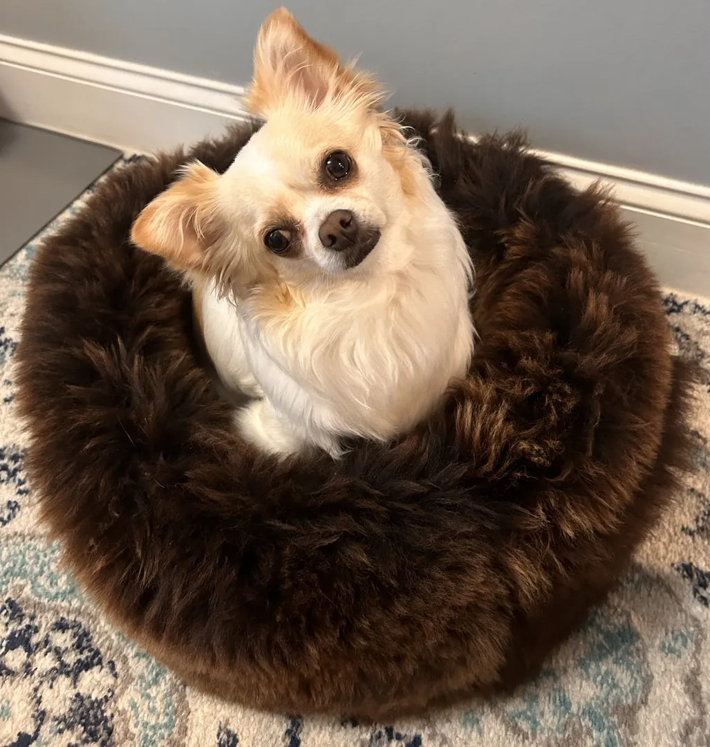 MEDIUM Brown Sheepskin Pet Bed