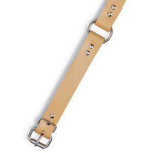 Perma Tough 1" Wide Dog Collar - Ring-N-Center