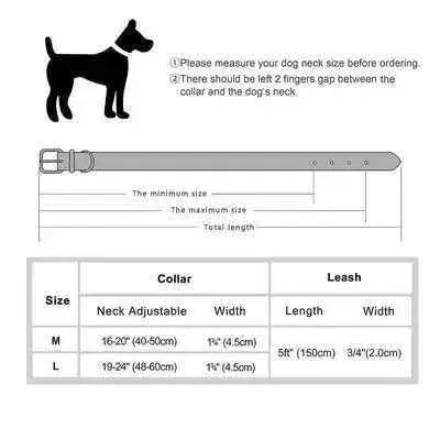 Regal Leather Dog Collar & Lead Set