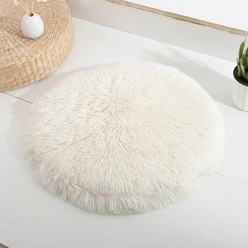 Soft Plush Beds for French Bulldog