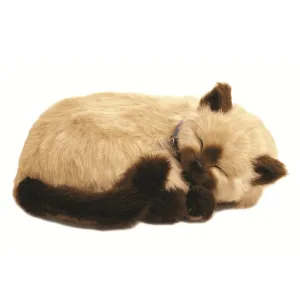 Tan Siamese Cat Bundle