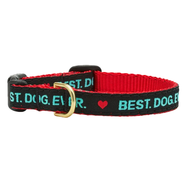 Teacup Collar | Best. Dog. Ever.
