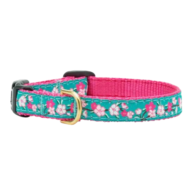 Teacup Collar | Cherry Blossom