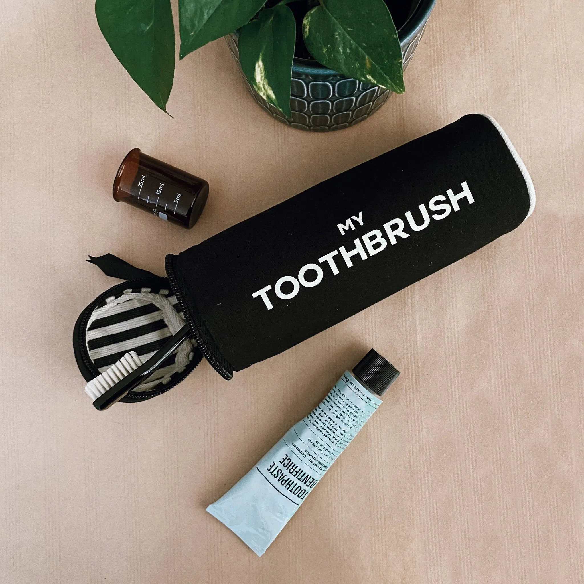 Toothbrush Travel Case, Black